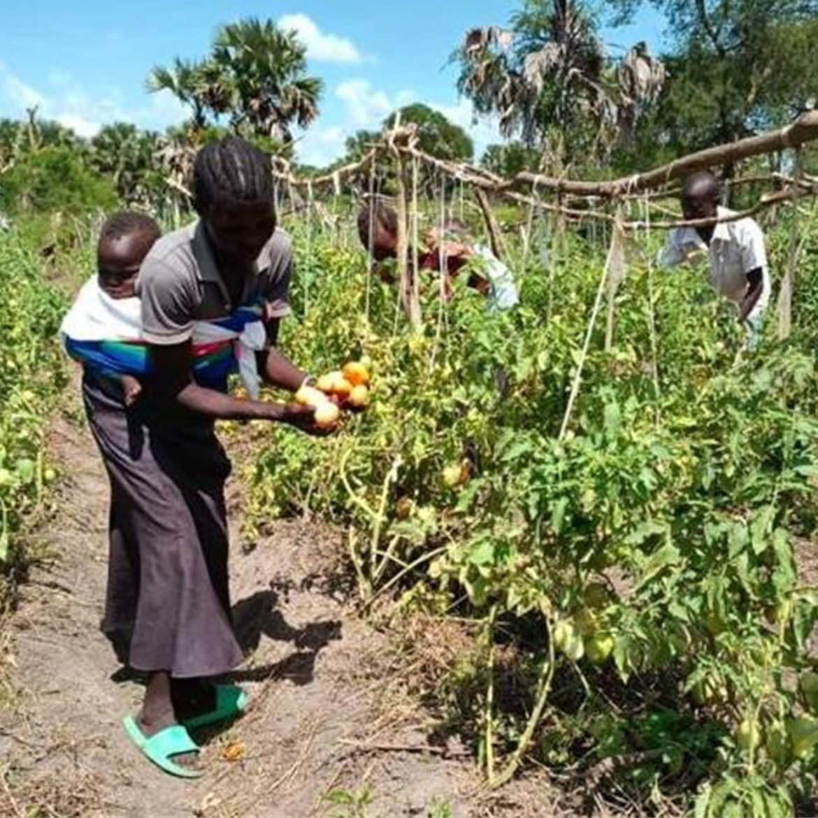 Agriculture (482x472)