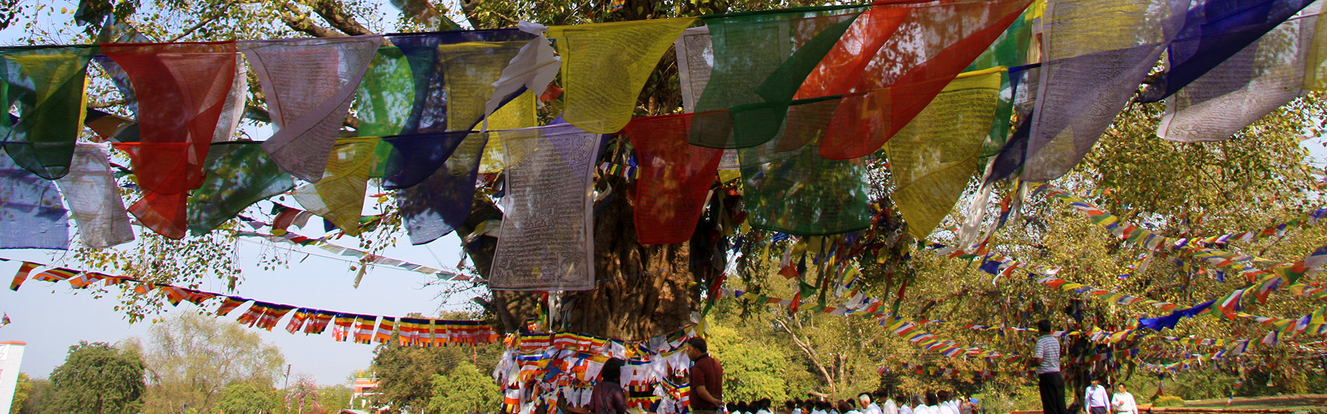 nepal-prayer-flags-in-tree